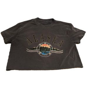 Brandy Melville Alaska Crop Top